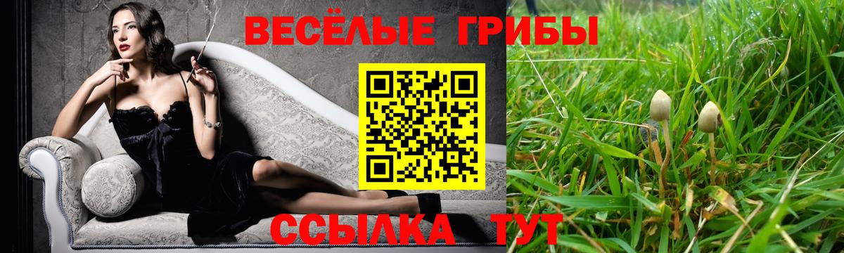 Тобольск  Галлюциногенные грибы Magic Shrooms  как найти закладки  Псилоцибиновые грибы GOLDEN TEACHER  Вход с VPN 