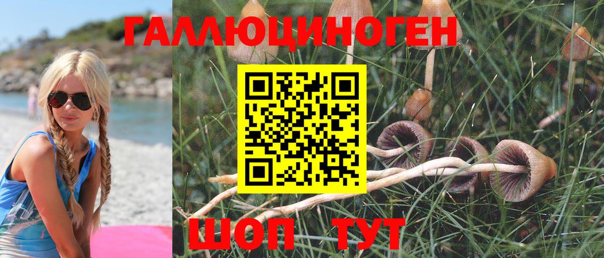 Галлюциногенные грибы GOLDEN TEACHER  Галлюциногенные грибы Cubensis  Тобольск 