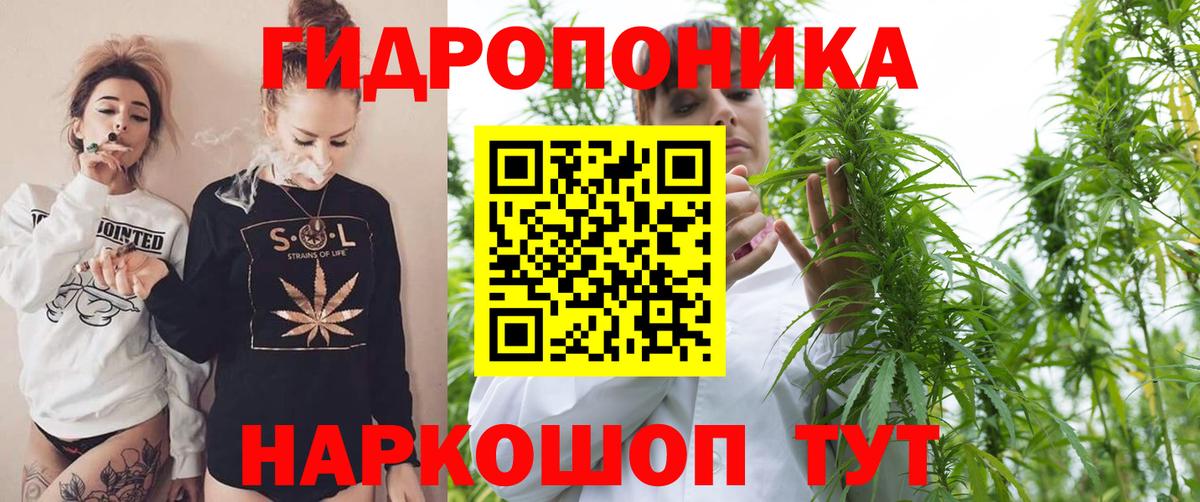 Тобольск  Бошки Шишки сатива  МАРИХУАНА гибрид  Вход с VPN  Канабис SATIVA & INDICA 